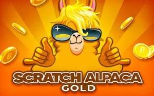 Scratch Alpaca Gold